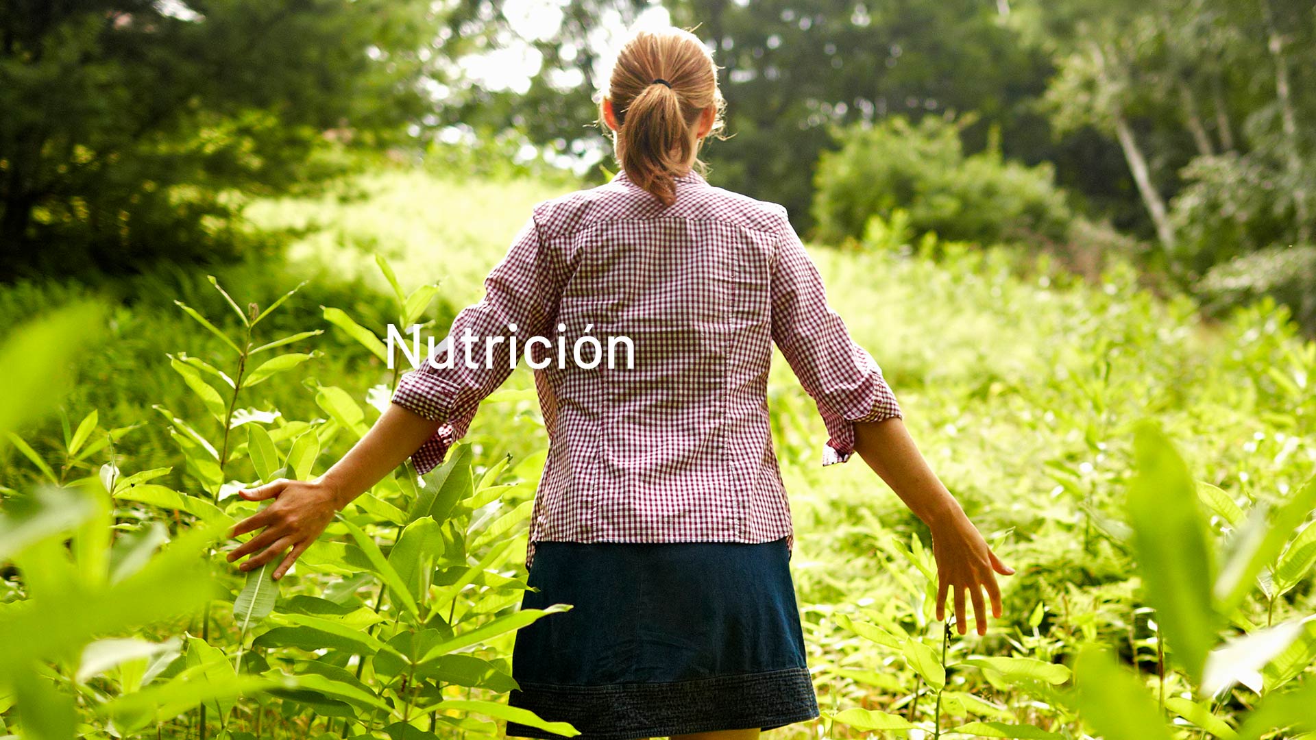 Nutrición