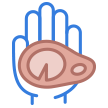Icono mano con carne  