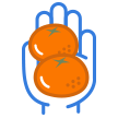 Mandarines